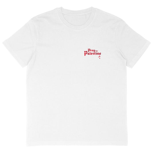 Pray for Palestine - t-shirt oversize recto/verso blanc