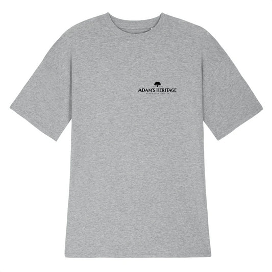 Logo Adam's Heritage - T-shirt oversize women grey